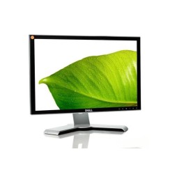 Monitor Dell 2007WFP 20" WSXGA+ A+ com cabo de vídeo